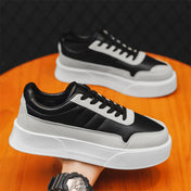 Tenis Casual Masculino Canvas da Cavasta 41
